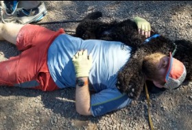 Milo after Superior 100